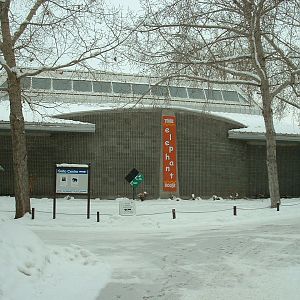 Elephant House - Nov 2012