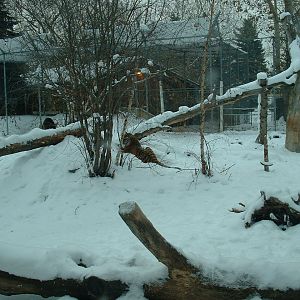 Edmonton Valley Zoo - Nov 2012