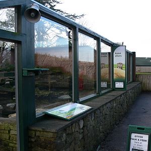 Otter exhibit at Martin Mere 08/12/12