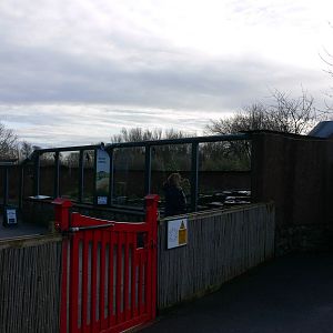 Otter exhibit at Martin Mere 08/12/12