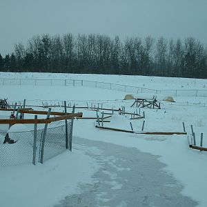 Arctic Shores - Nov 2012