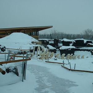 Arctic Shires - Nov 2012