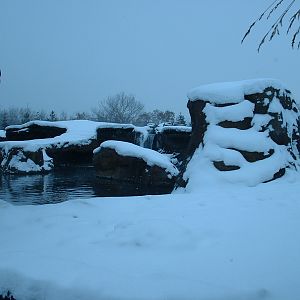 Arctic Shores - Nov 2012