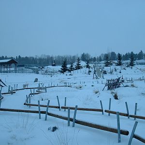 Arctic Shores - Nov 2012