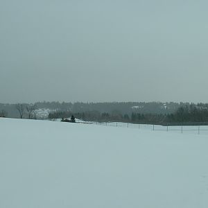 View From Zoo - Nov 2012