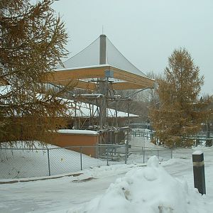 White-handed Gibbon Enclosure - Nov 2012