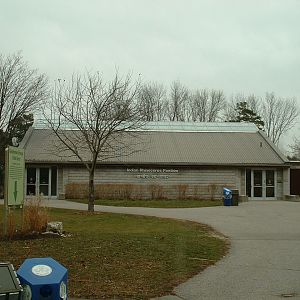 Indian Rhinoceros Pavilion - Nov 2012