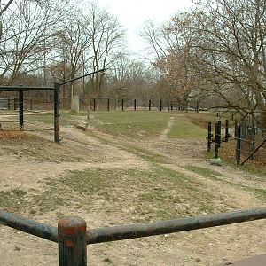 Indian Rhino Paddock - Nov 2012