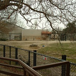 Indian Rhino Paddock & House - Nov 2012