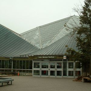 Indo Malaya Pavilion - Nov 2012