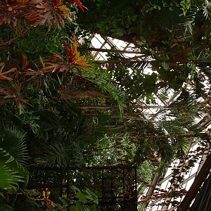 Indo Malaya Pavilion - Nov 2012