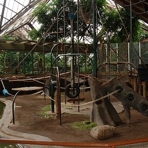 Orangutan Enclosure - Nov 2012