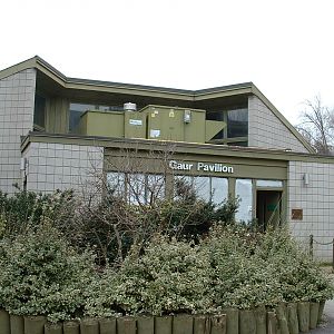 Gaur Pavilion - Nov 2012