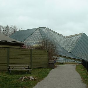 Indo Malaya & Gaur Pavilion - Nov 2012