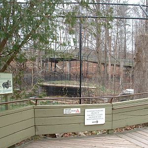 Sumatran Tiger Enclosure - Nov 2012