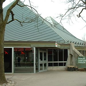 African Rainforest Pavilion - Nov 2012