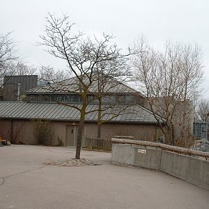 African Elephant Pavilion & Enclosure - Nov 2012