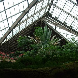 African Rainforest Pavilion - Nov 2012