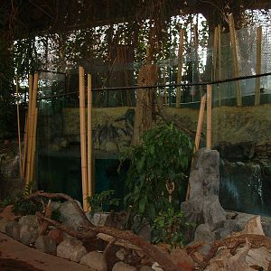 Spot-necked Otter Enclosure - Nov 2012