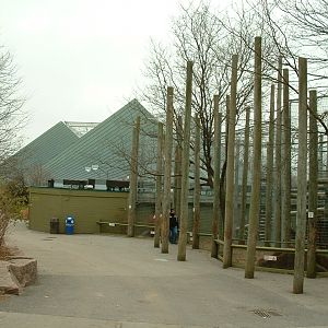 African Rainforest Pavilion and Outdoor Gorilla Enclosure - Nov 2012