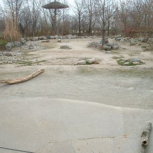 Common Hippo Enclosure - Nov 2012