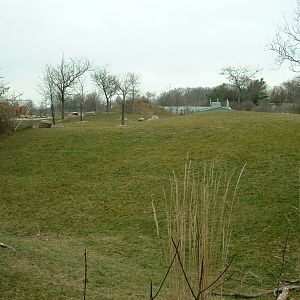 African Savanna Enclosures - Nov 2012