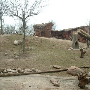 Baboon Enclosure - Nov 2012