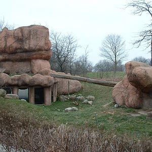 White African Lion Enclosure - Nov 2012