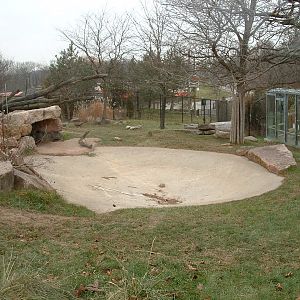 Spotted Hyena Enclosure - Nov 2012