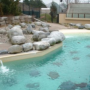 African Penguin Enclosure - Nov 2012