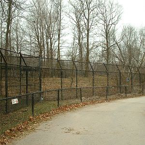 Disused Arctic Wolf Enclosure - Nov 2012