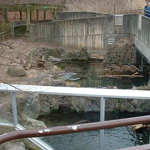 Canadian River Otter and Canadian Beaver Enclosures - Nov 2012
