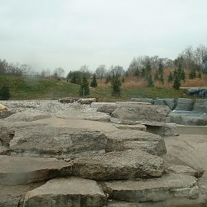Polar Bear Enclosure - Nov 2012