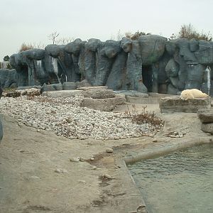 Polar Bear Enclosure - Nov 2012