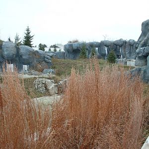 Polar Bear Enclosure - Nov 2012