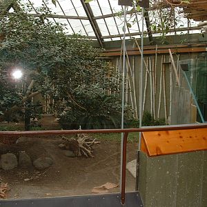 Komodo Dragon Enclosure - Nov 2012