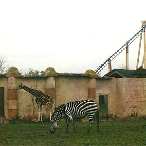 The Lost Kingdom 1st November 2012