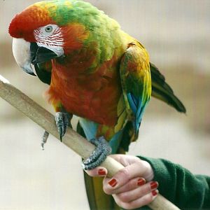 Olive 1st November 2012