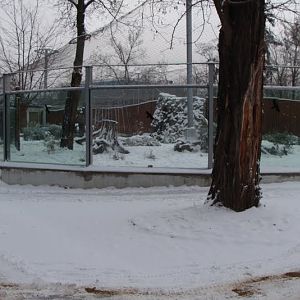 Winter in the zoo.