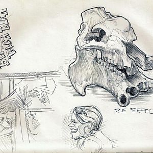 murchison falls sketchbook page