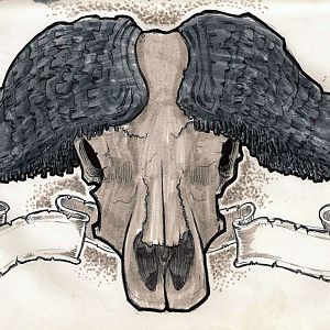 murchison falls sketchbook page