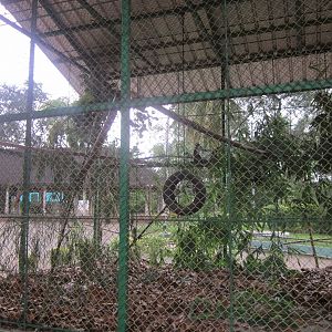 A new hope for abidjan zoo