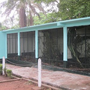 A new hope for abidjan zoo