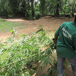 A new hope for abidjan zoo