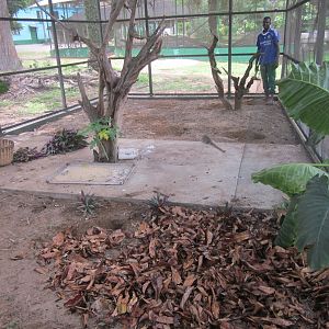 A new hope for abidjan zoo