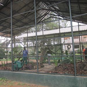 A new hope for abidjan zoo