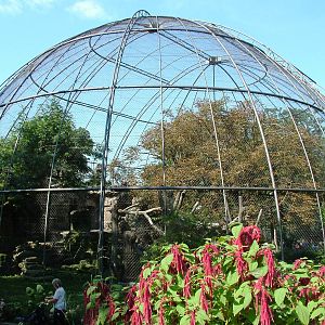 Vulture Aviary at Dresden, 29/08/12
