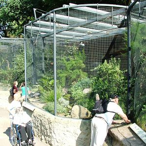 European Bird Aviaries at Dresden, 29/08/12