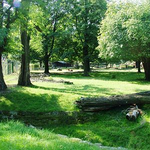 Asian Paddock at Dresden, 29/08/12