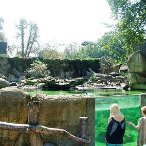 Penguin Pool at Dresden, 29/08/12